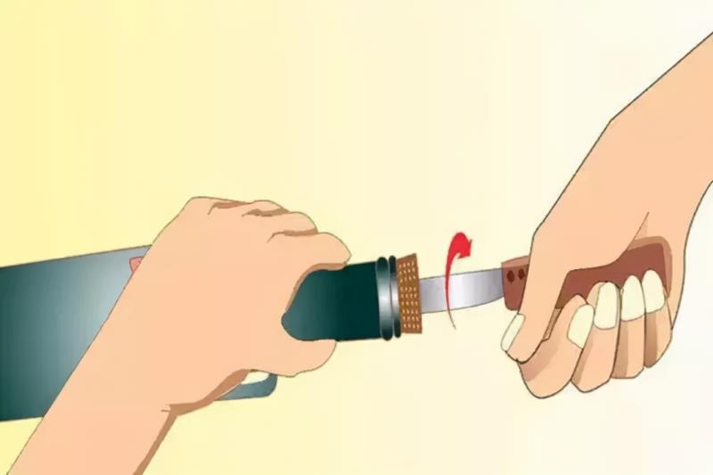 凯撒之手红酒多少钱一瓶（凯撒干红葡萄酒最新报价）(14)