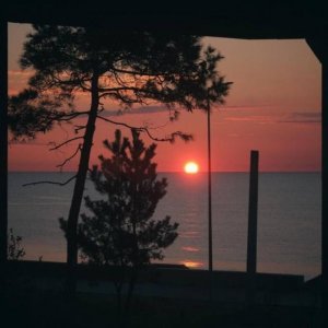 ​诗词文化：晚来天欲雪，能饮一杯无？