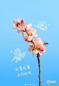 ​收藏春日限定励志壁纸