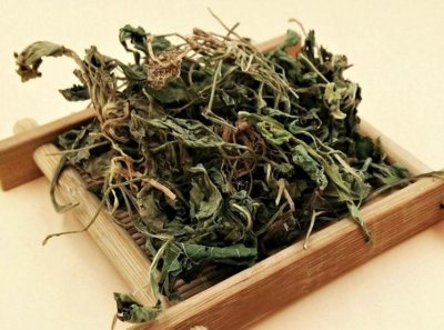 ​《神农识药》清热解毒药之紫花地丁