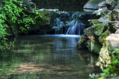 ​15秒记一个单词（第3159个）paddle