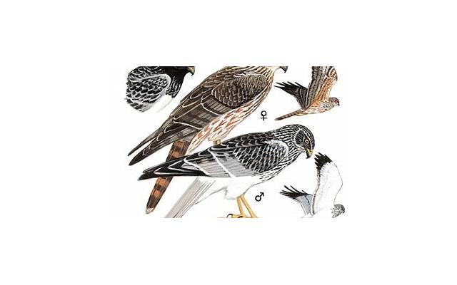 内在能量很高的人会怎样 而是内在的能量匹对