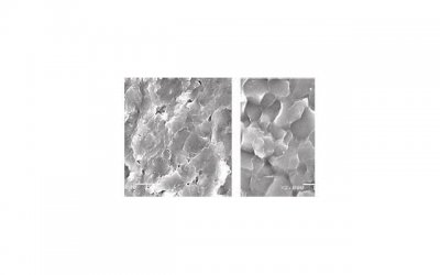 ​这3点决定你是否适合恋爱？恋爱必看！