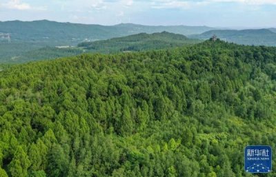 ​剑门蜀道翠云廊 跨越千年 苍翠如昔