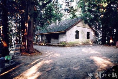 ​老区谷城，三代人造出一个国家森林公园