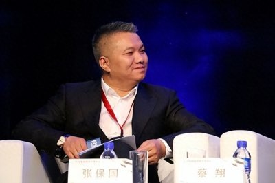 ​非法集资287亿元的张保国，从璀璨新星到无期徒刑的人生