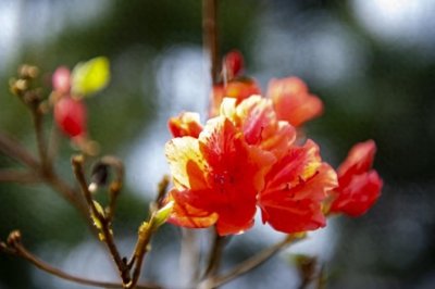 ​男人不靠谱的十种表现，占三条以上就是稳稳的渣男