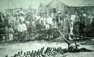 ​营口坠龙事件：神秘与争议的交织