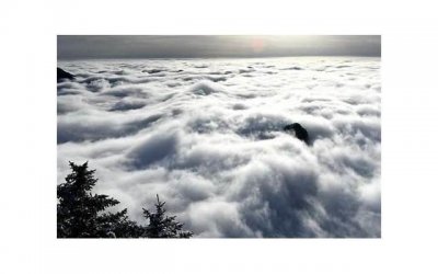 ​为什么有些人那么容易脱单呢？别人的伴侣都是怎么找到的呢