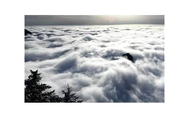 为什么有些人那么容易脱单呢？别人的伴侣都是怎么找到的呢