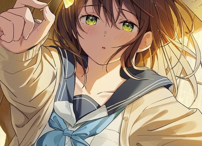 因法之名剧情介绍（因法之名大结局是什么）