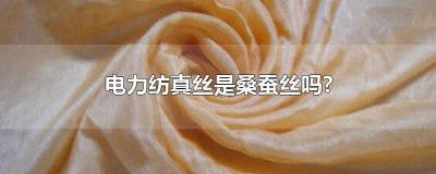 ​电力纺真丝是桑蚕丝吗?