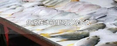 ​鱼在冰箱里冷冻能放多久 鱼在冰箱冷冻能放多久