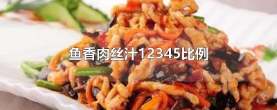​鱼香肉丝汁12345比例