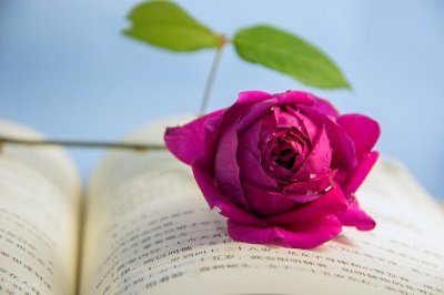 ​国内姻缘最为灵验的8大寺庙，想脱单看看这里