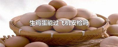 ​生鸡蛋能过飞机安检吗