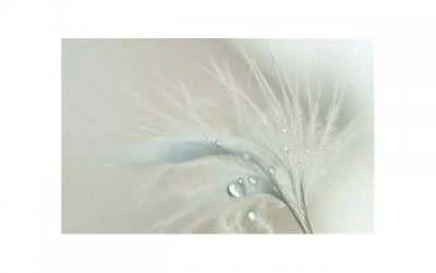 ​单身很久了我想找个女朋友，有什么方法