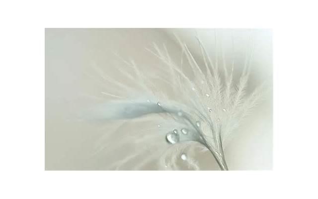 单身很久了我想找个女朋友，有什么方法