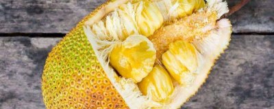 ​菠萝蜜的作用和禁忌 菠萝蜜功效与作用及禁忌症