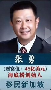 ​为什么富豪都移民海外？移民海外的亿万富翁排名