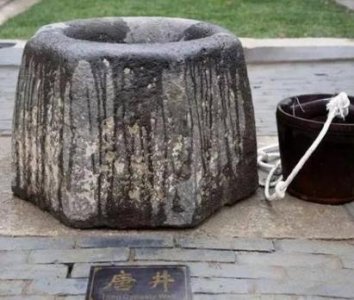 ​古代水井里面为什么放乌龟 所谓的迷信是不是真的