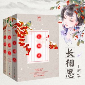 ​《长相思》小说讲的是什么