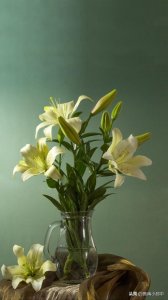 ​尿糖阳性 尿糖阳性真的是糖尿病吗？