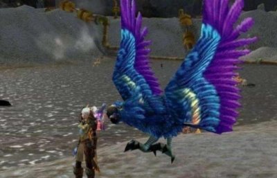 ​地精四主城声望怎么冲（刷回地精声望有用吗)