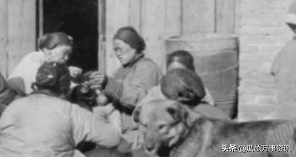 纯正的土狗长什么样？来看看100年前的珍贵照片