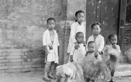 纯正的土狗长什么样？来看看100年前的珍贵照片