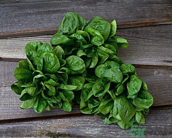 甲亢可以吃菠菜吗 甲亢不能吃的东西有哪些