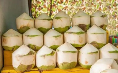 ​海南椰子打开秘籍大公开！