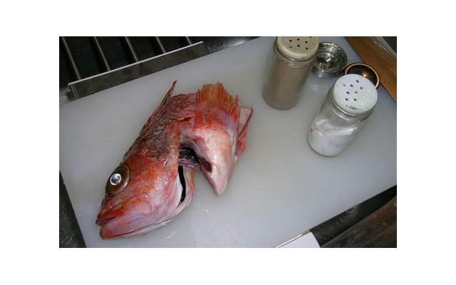 兴趣的作用与意义