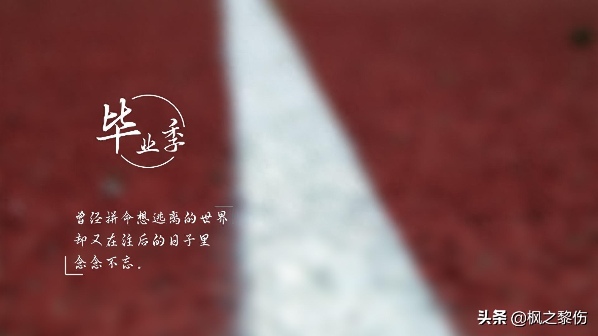 毕业季文字图片桌面壁纸