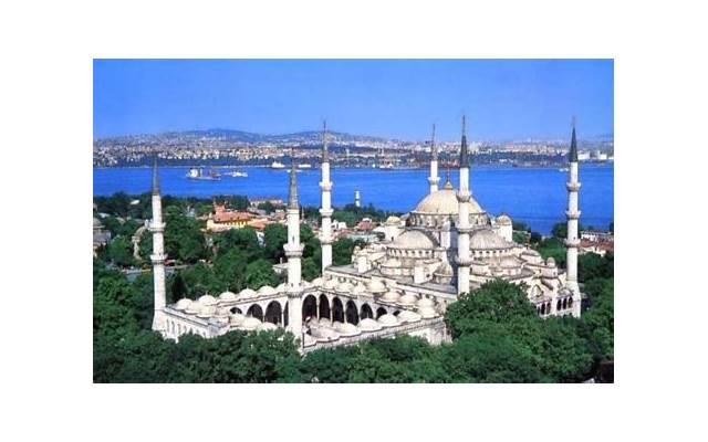 怎样去追一个文静的女孩