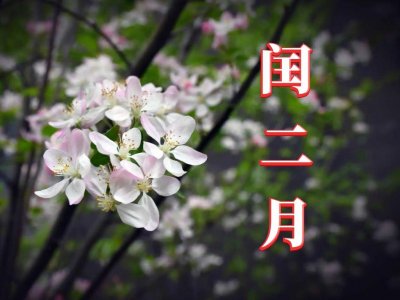 ​4年一次2月29日什么意思（闰二月的民俗讲究）