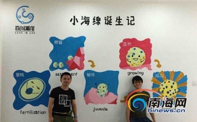 ​2017年海南省创业大赛总决赛项目宣展之八：母婴专用天然浴海绵