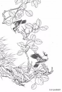 ​初学者正确画白描线稿，从线条到造型，10张高清线稿示范教你画