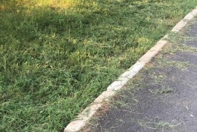 ​土办法青草储存,青草储存与发酵方法