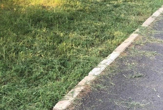 土办法青草储存,青草储存与发酵方法