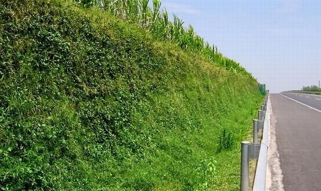 青草的储存方法最长可储存多长时间