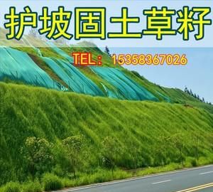 土办法青草储存,青草储存与发酵方法