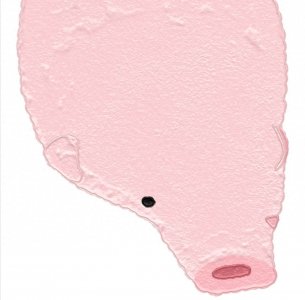 ​可爱的猪壁纸｜猪每长一斤肉都是幸福。