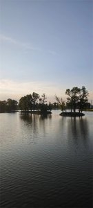 ​美丽的长春北湖湿地公园