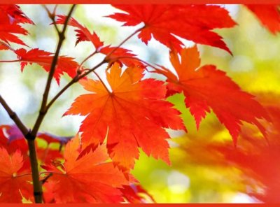 ​正义的力量：多行不义必自毙