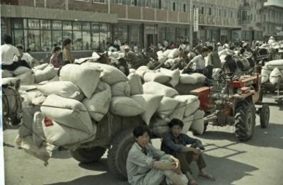 ​2024年起，交公粮的农民有400每个月养老金了？真相却让人失望