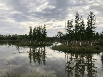 ​至美泸西、印象泸西