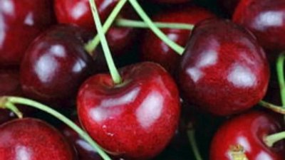 ​车厘子变“毒果”？急救室事件震惊全行业