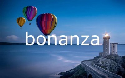 ​每日单词：bonanza