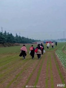 ​一个郑州平民百姓的心声